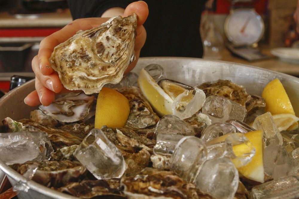 Ostriche Trattoria Gasparo - Brescia Centro